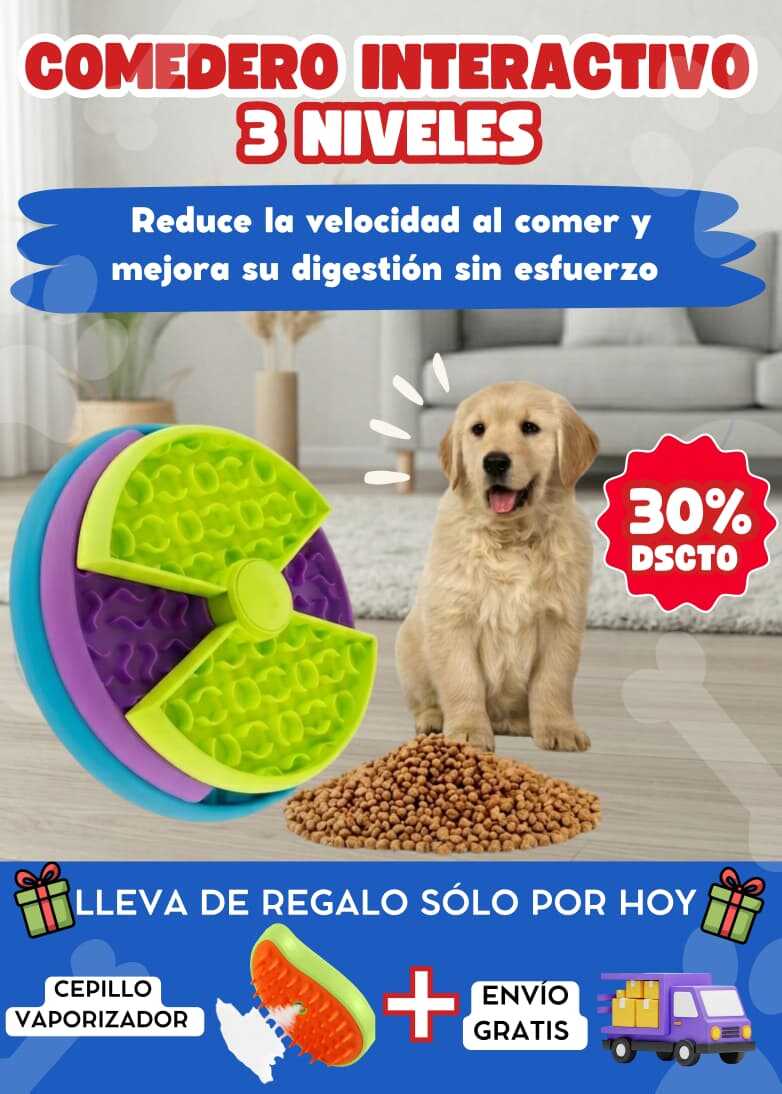 COMEDERO INTERACTIVO 3 NIVELES
